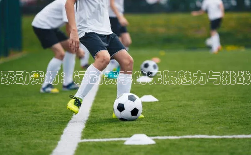 聚动赛场：运动赛事的无限魅力与挑战